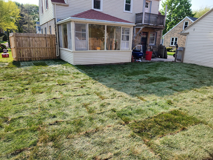 Lawn restoration project in progress Manitowoc WI — Fast Grass Lawns