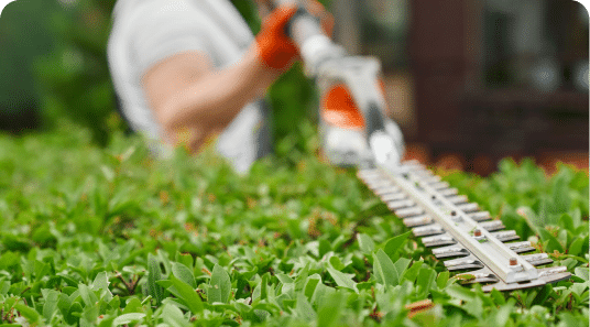 Experienced Professionals Dedicated to Your Yard's Health