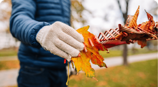 Leaf removal thumbnail