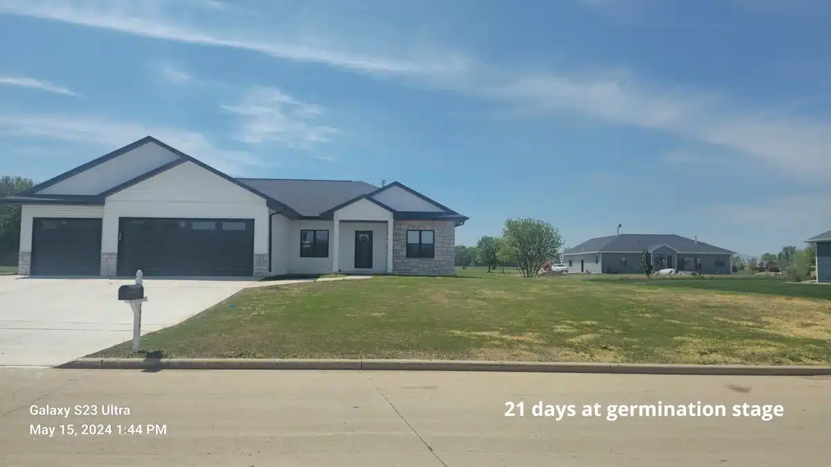 Lawn seeding germination results Manitowoc — Fast Grass Lawns