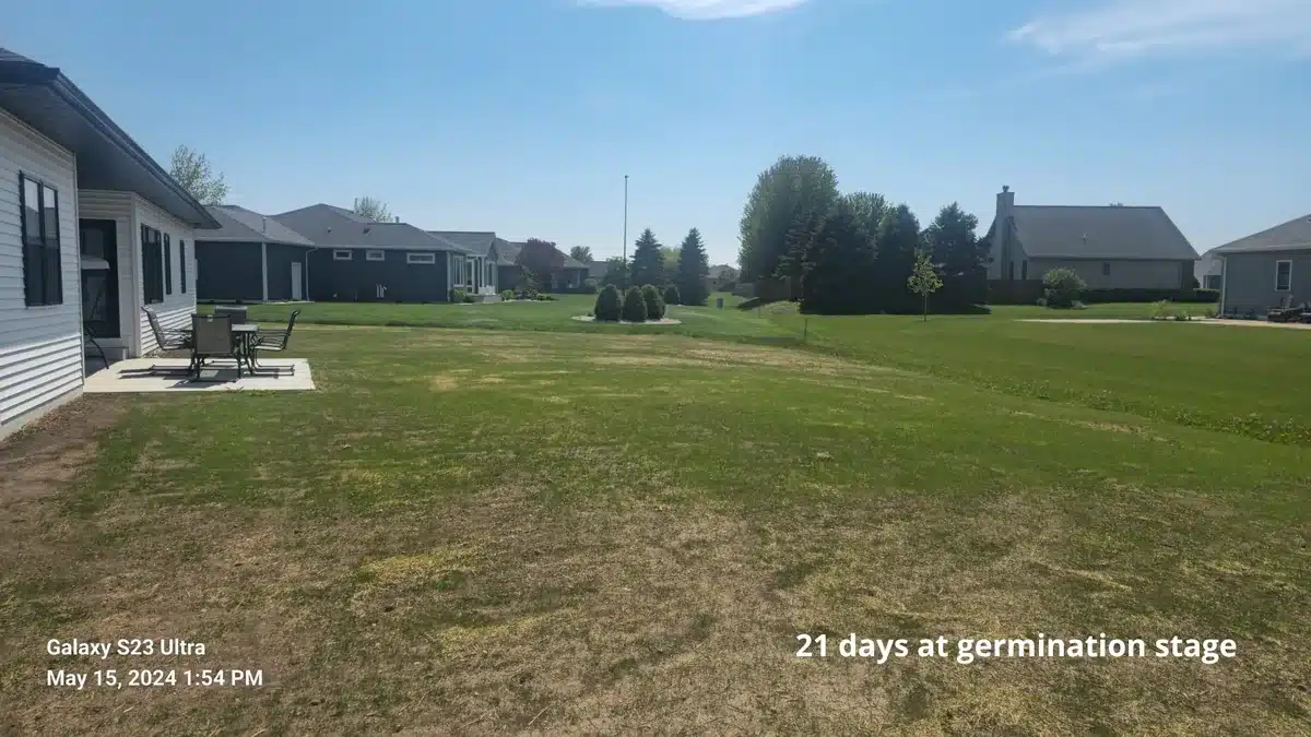 Lawn seeding result Manitowoc — Fast Grass Lawns
