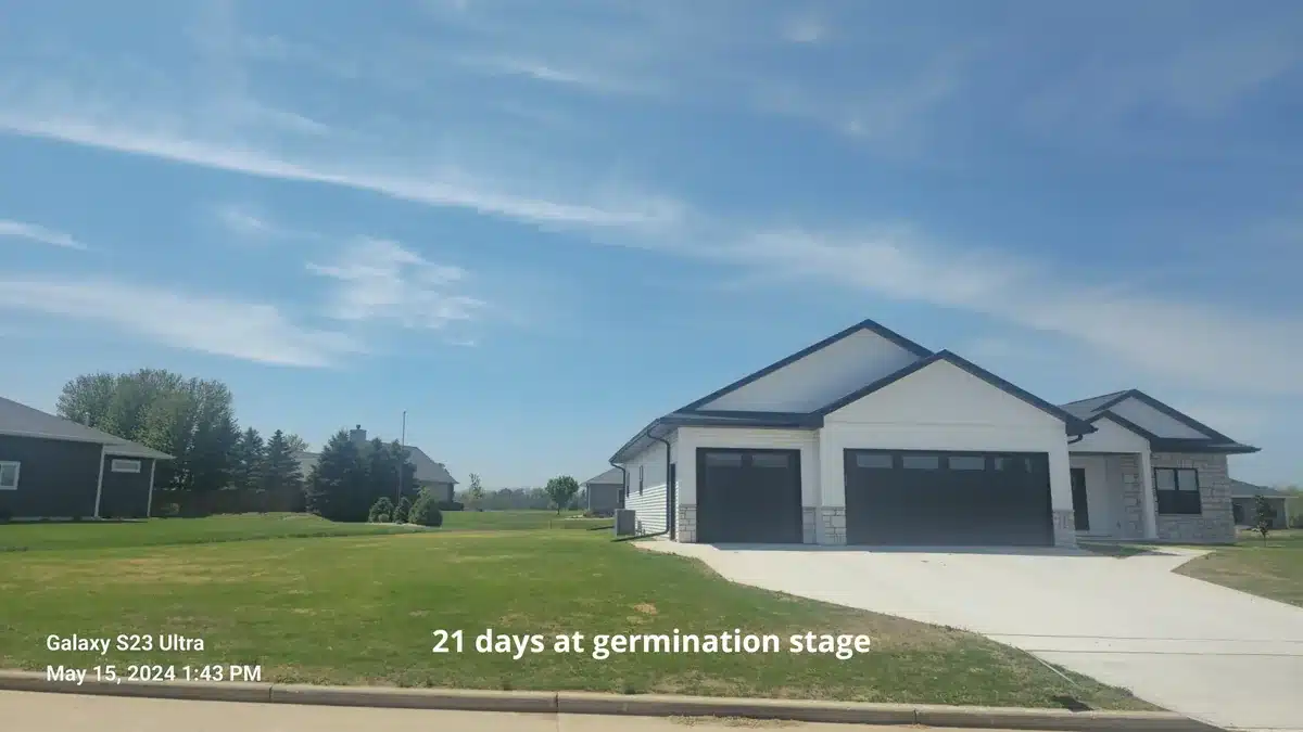 Seeding new lawn Manitowoc — Fast Grass Lawns