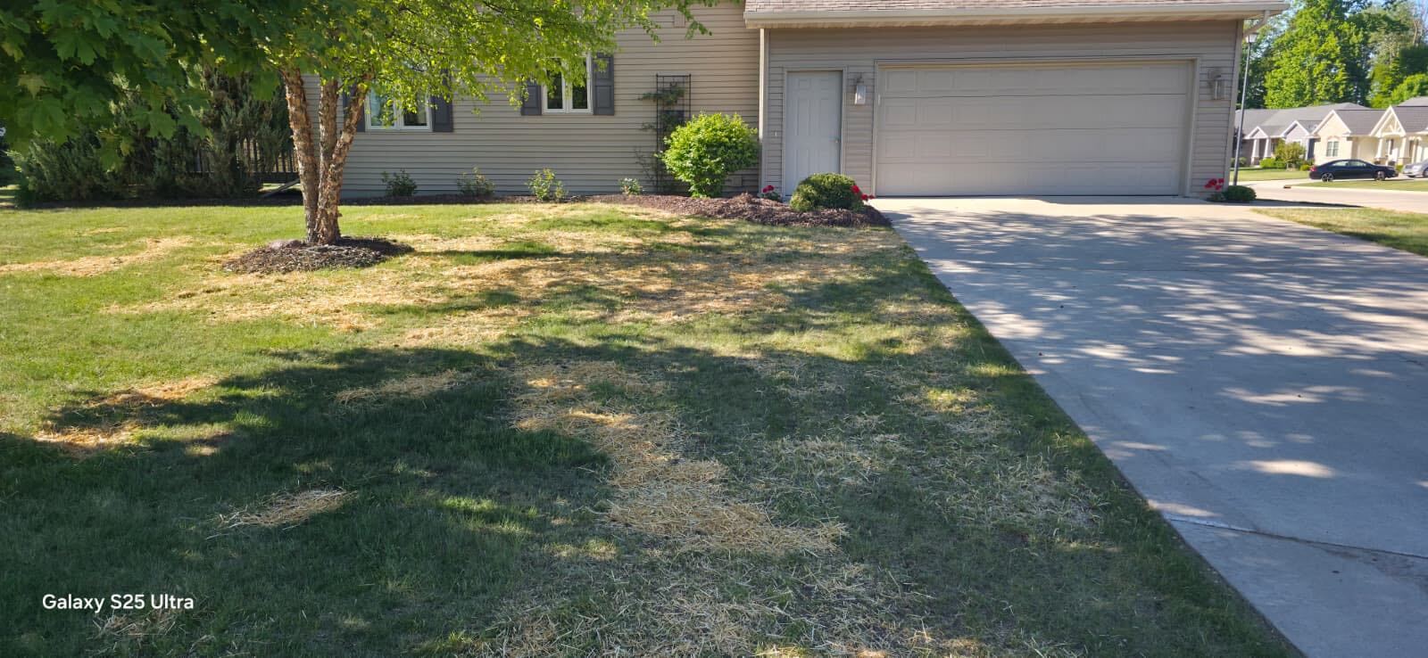 Lawn restoration in Manitowoc WI — patchy lawn brought back to life by Fast Grass Lawns