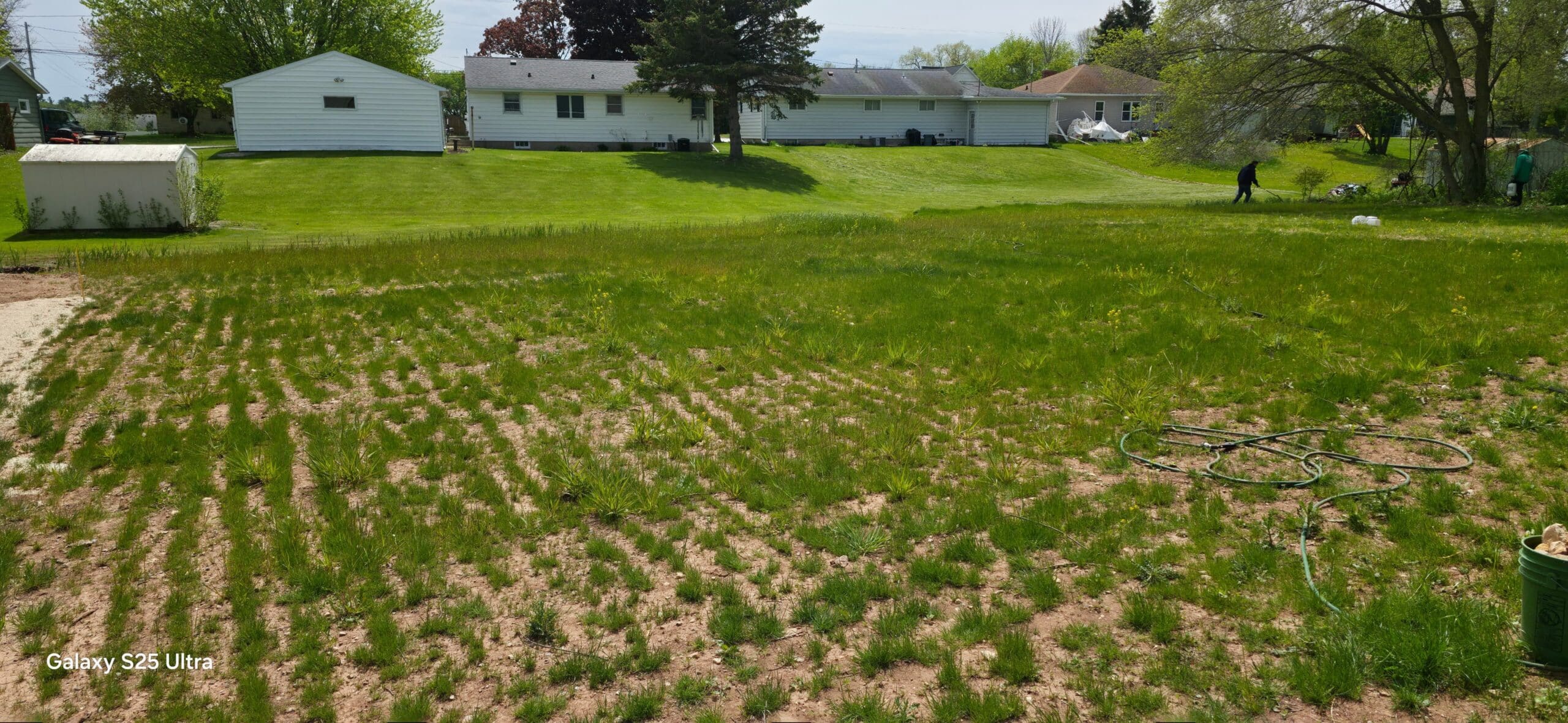 Overseeding service in Manitowoc WI — thicker denser lawn by Fast Grass Lawns